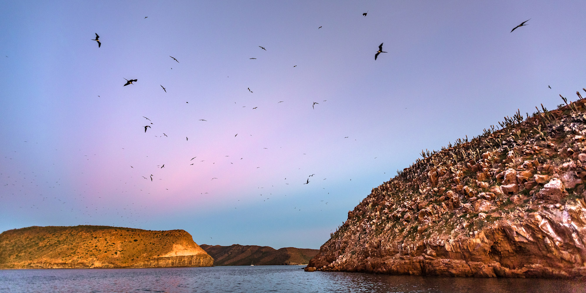 Birds circle in the sky over Baja sur California, Mexico